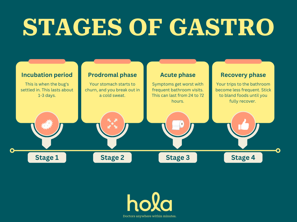 Stages of Gastro - Hola Health