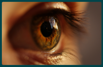 Stye self-care: Home remedies & treatment